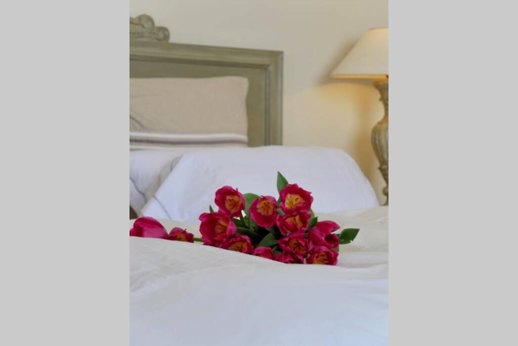 Bord De Mer - Ac, Wifi, Chic, Sea View, Beach 2 Minutes Walk Antibes Exterior photo